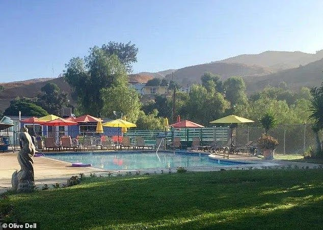 Olive Dell fight in the limelight